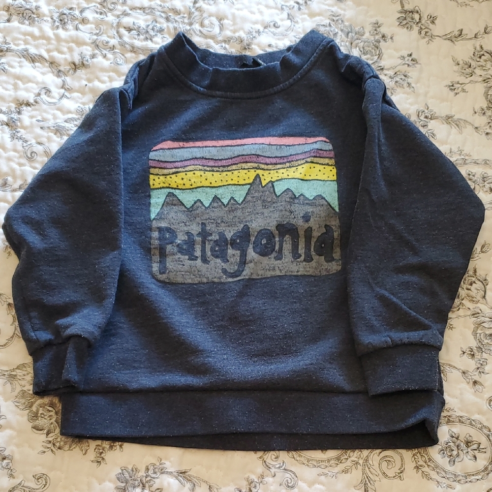 Patagonia Blue Mountain Graphic Sweatshirt